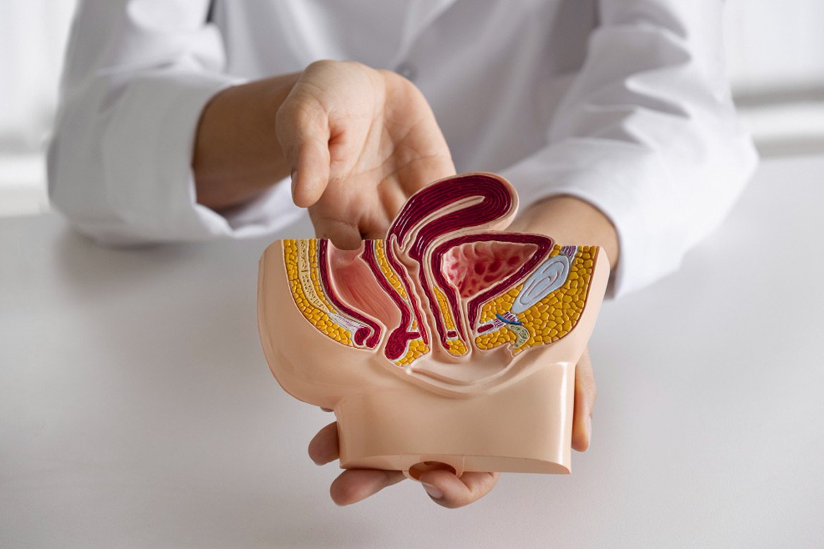 Urology